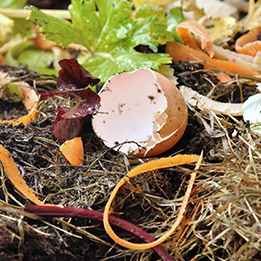 Implementing sustainable practices in residential landscape design 2