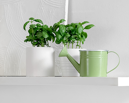 Tiered herb shelving for culinary use